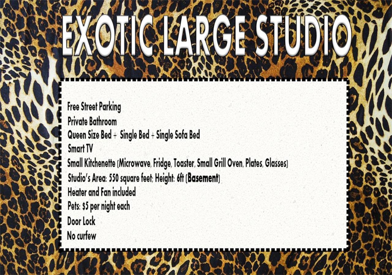 Exotic Large Basement Studio Hotel Montreal Exterior foto
